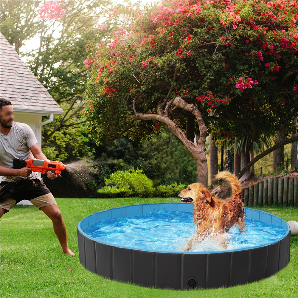 Alden Design 63'' Foldable Pet Swimming Pool for Indoor and Outdoor, Blue